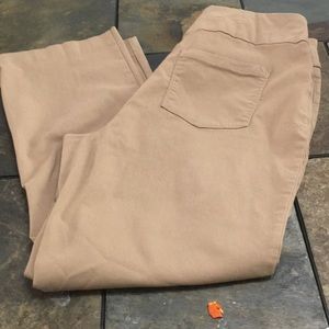 westbound petite pants